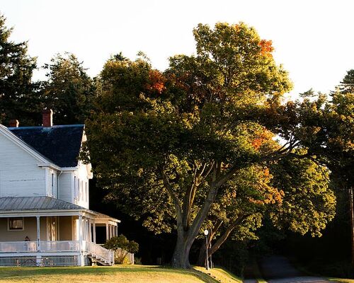 trees-house-home-autumn